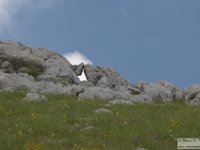 2020-06-27 Anello del Monte Greco 105